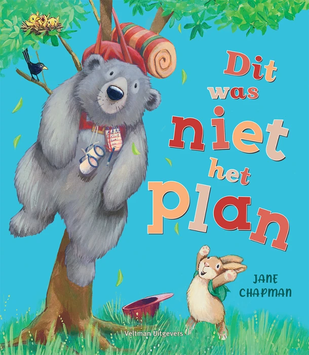 Dit was niet het plan – Jane Chapman – boek cover