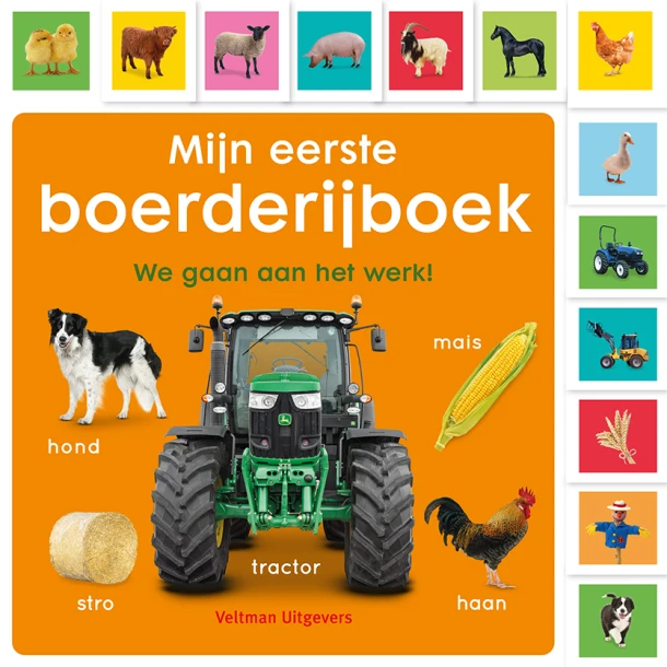 Mijn eerste boerderijboek – Dawn Sirett – boek cover
