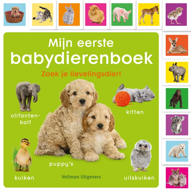 Mijn eerste babydierenboek – Dawn Sirett – boek cover