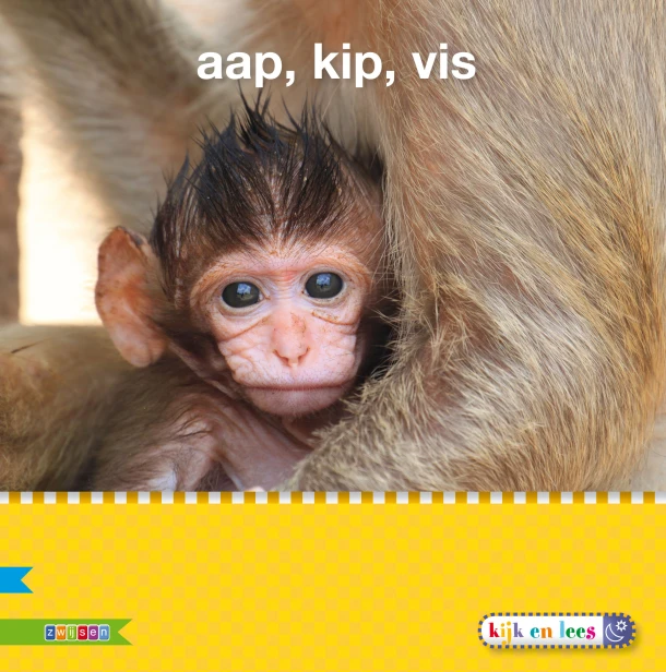 Aap, kip, vis AVI S – Auteursgroep Zwijsen – boek cover