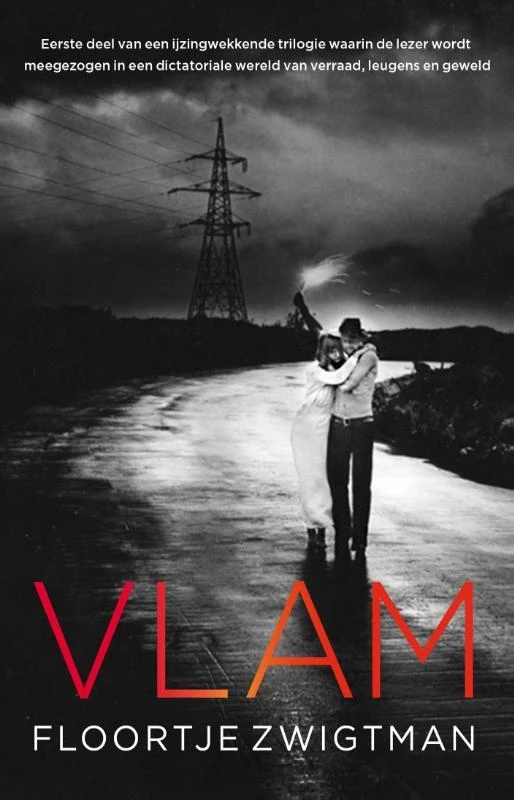 Vlam – Floortje Zwigtman – boek cover
