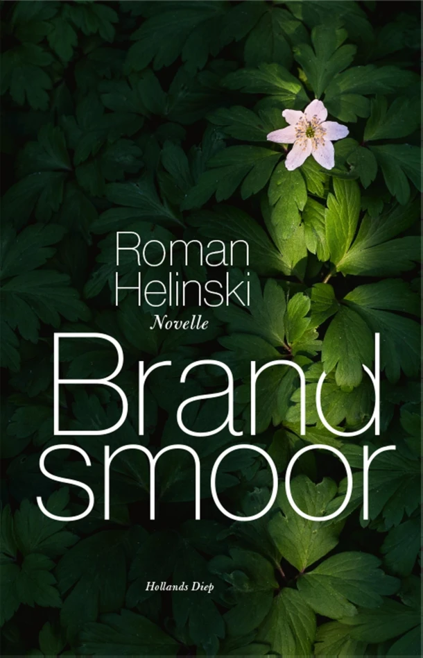 Brandsmoor – Roman Helinski – boek cover