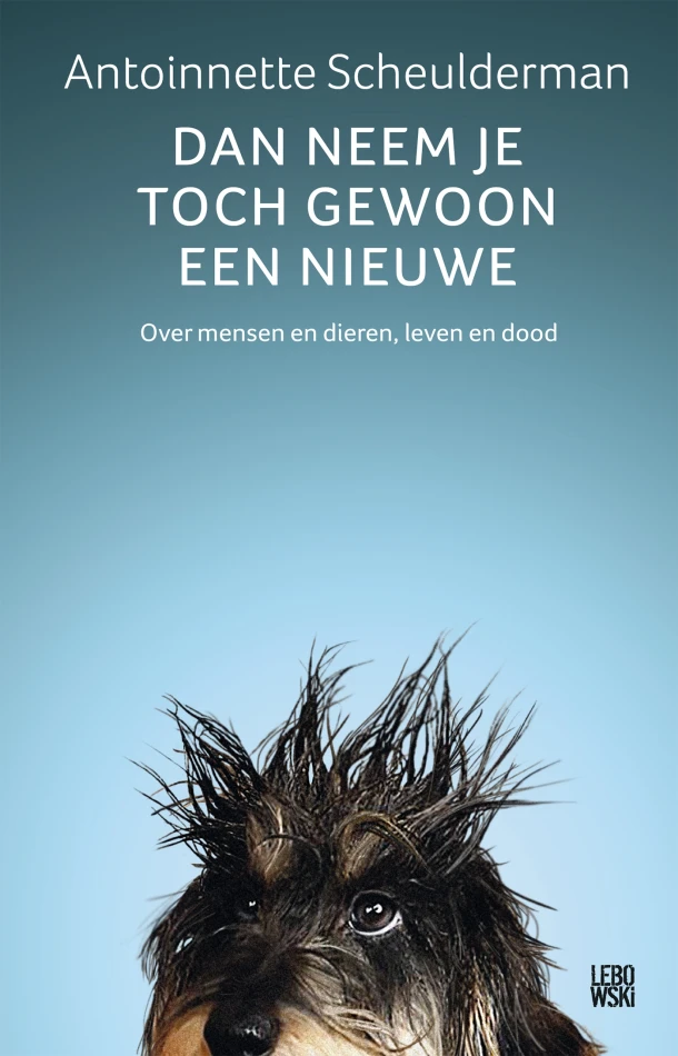 Dan neem je toch gewoon een nieuwe – Antoinnette Scheulderman – boek cover