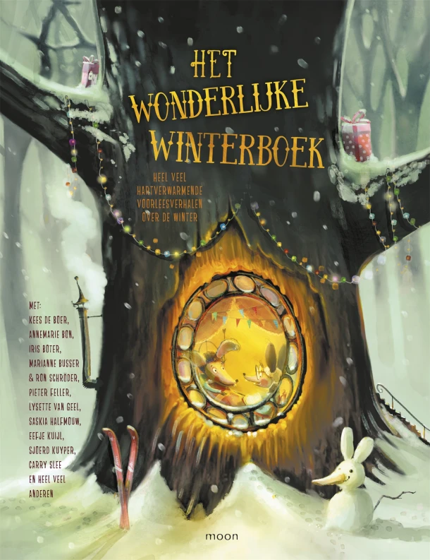 Het wonderlijke winterboek – Marianne Busser – boek cover