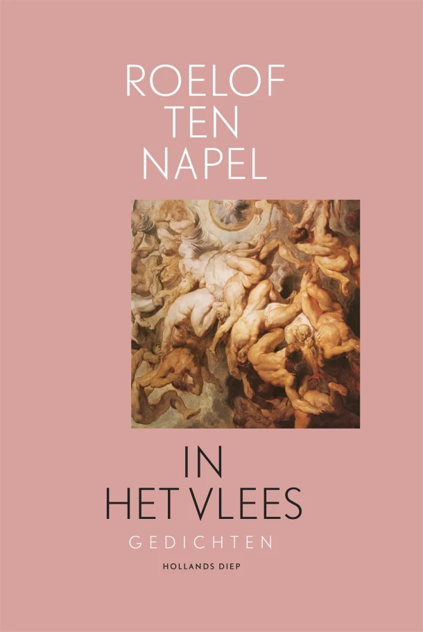 In het vlees – Roelof ten Napel – boek cover