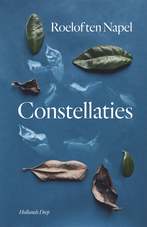 Constellaties – Roelof ten Napel – boek cover