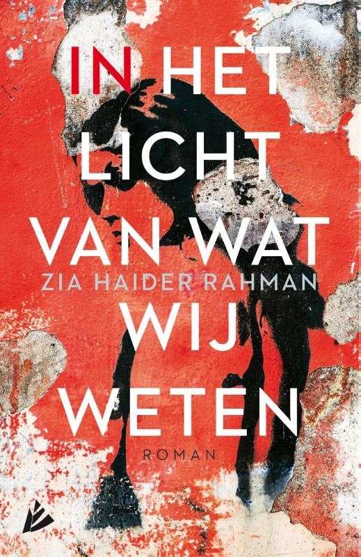 In het licht van wat wij weten – Zia Haider Rahman – boek cover