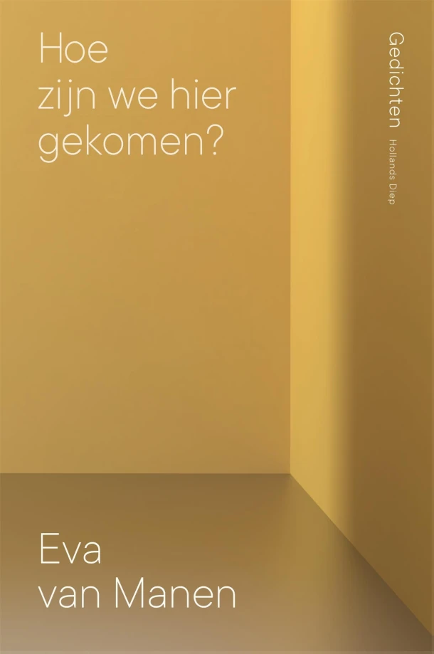 Hoe zijn we hier gekomen? – Eva van Manen – boek cover