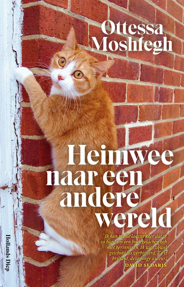 Heimwee naar een andere wereld – Ottessa Moshfegh – boek cover