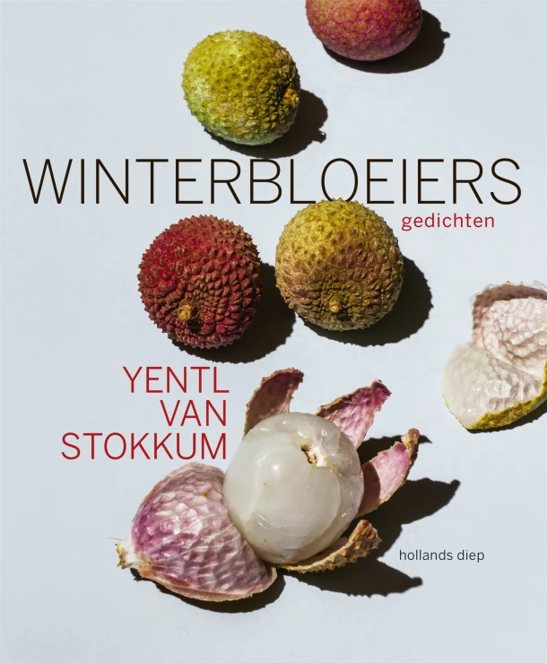 Winterbloeiers – Yentl van Stokkum – boek cover