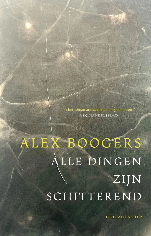 Alle dingen zijn schitterend – Alex Boogers – boek cover