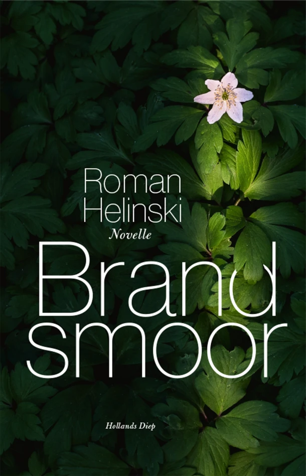 Brandsmoor – Roman Helinski – boek cover