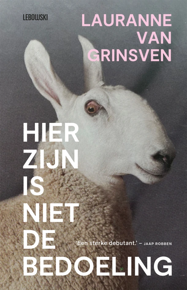 Hier zijn is niet de bedoeling – Lauranne van Grinsven – boek cover
