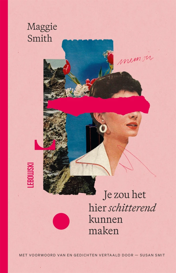 Je zou het hier schitterend kunnen maken – Maggie Smith – boek cover
