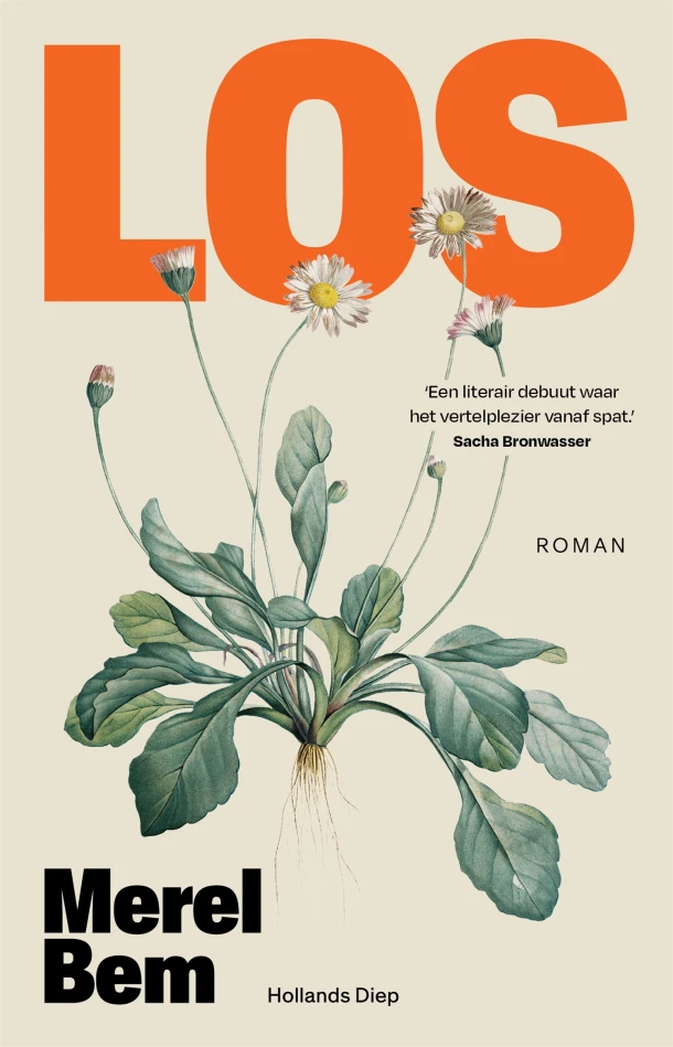 Los – Merel Bem – boek cover