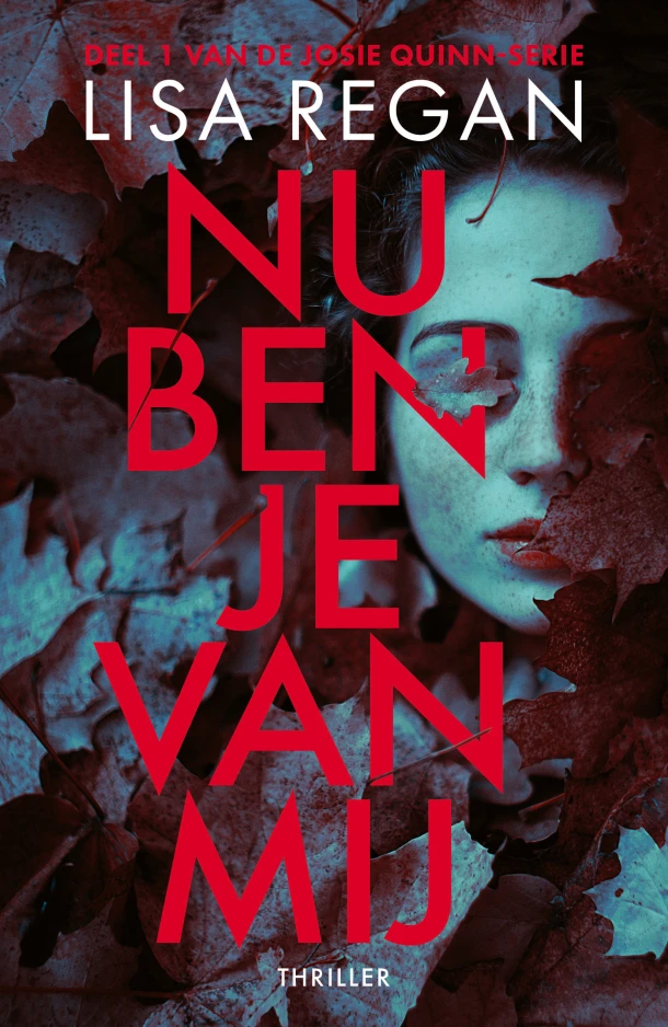 Nu ben je van mij – Lisa Regan – boek cover