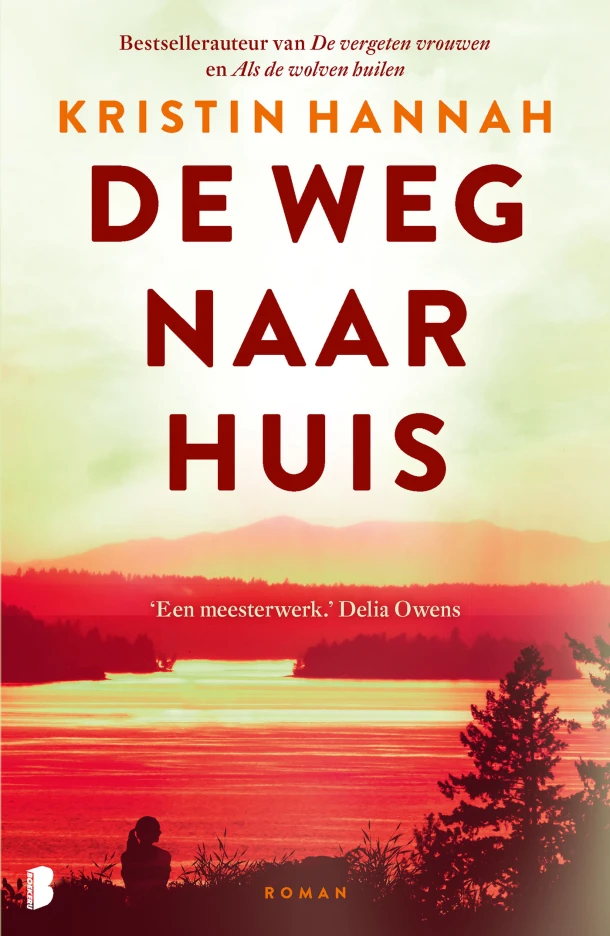 De weg naar huis – Kristin Hannah – boek cover