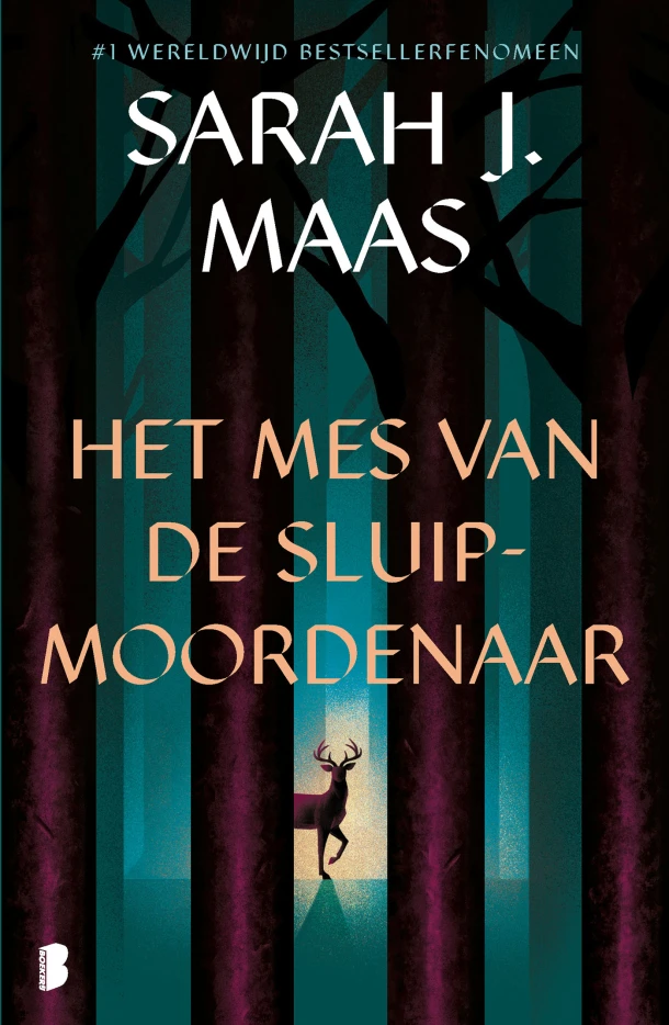 Het mes van de sluipmoordenaar – Sarah J. Maas – boek cover
