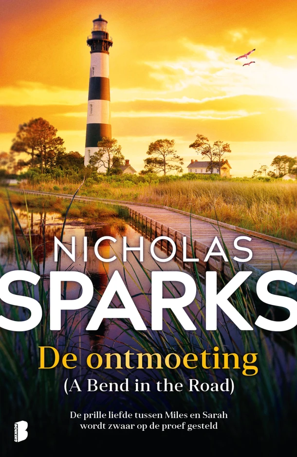 De ontmoeting – Nicholas Sparks – boek cover