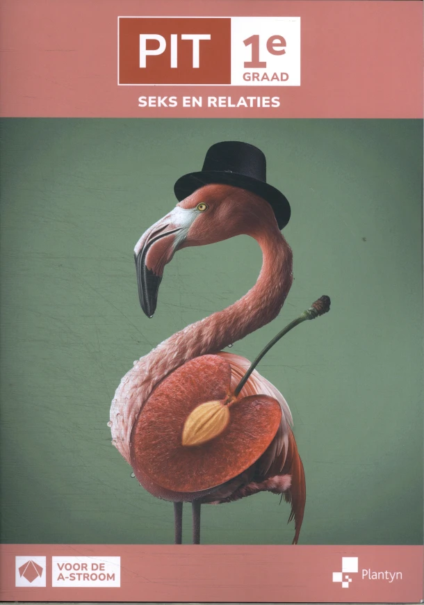 Leerwerkboek – Ann Smedts – boek cover