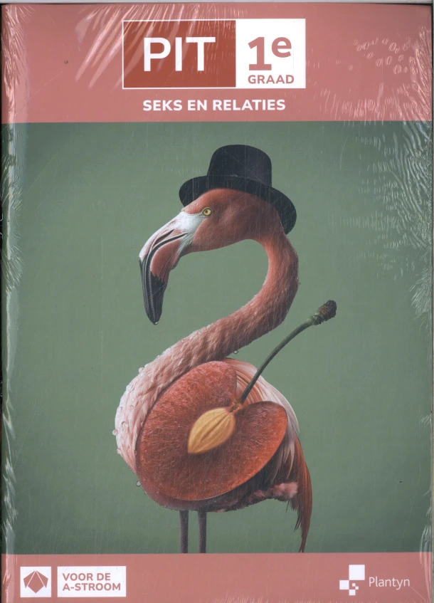 Leerwerkboek – An Verstraelen – boek cover