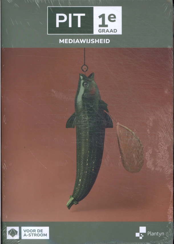 Leerwerkboek – Annemie Mangelschots – boek cover