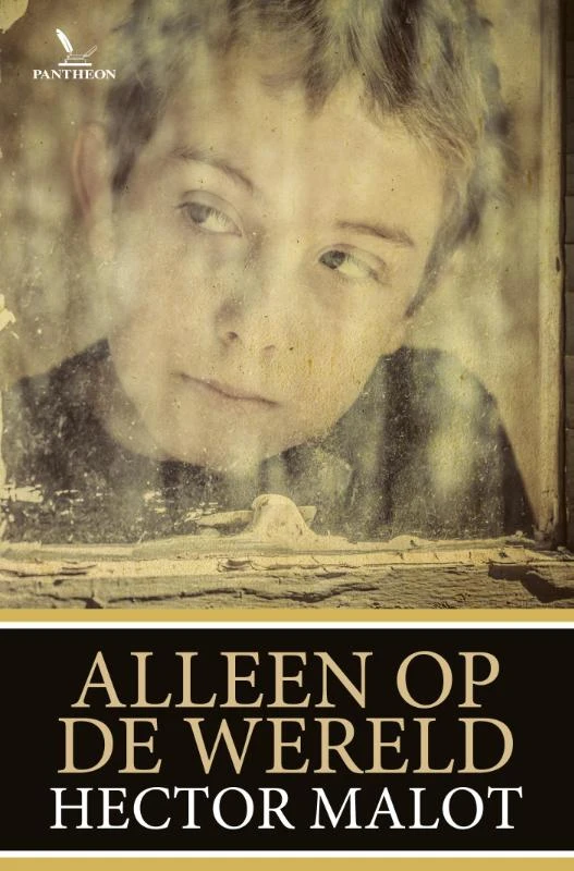 Alleen op de wereld – Hector Malot – boek cover