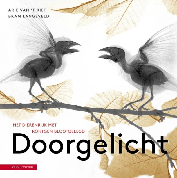 Doorgelicht – Bram Langeveld – boek cover