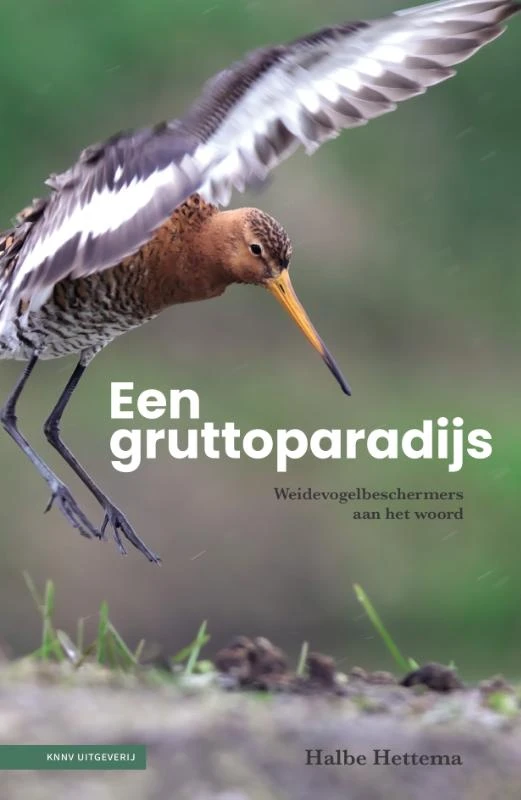 Een gruttoparadijs – Halbe Hettema – boek cover