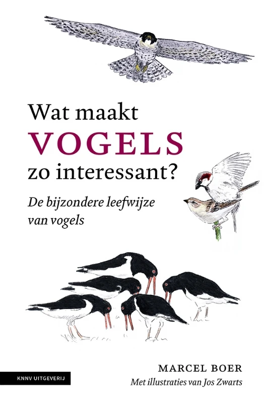 Wat maakt vogels zo interessant – Marcel Boer – boek cover