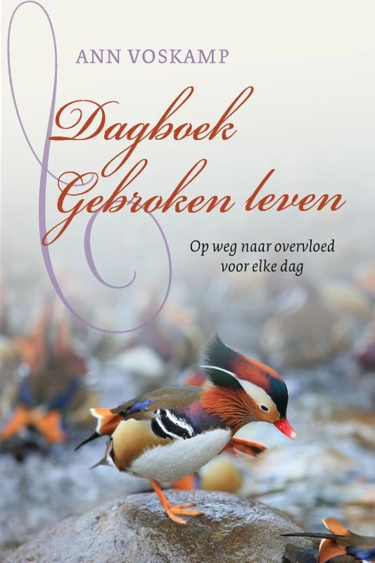 Dagboek Gebroken leven – Ann Voskamp – boek cover