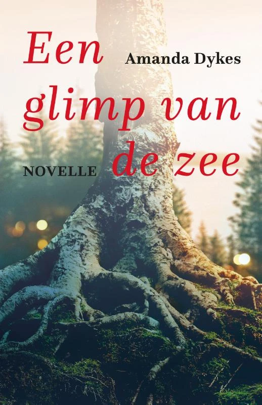 Een glimp van de zee – Amanda Dykes – boek cover