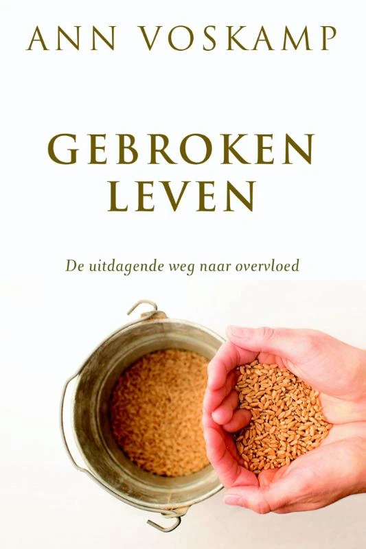 Gebroken leven – Ann Voskamp – boek cover