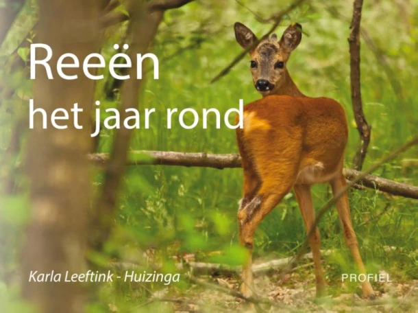 Reeën het jaar rond – Karla Leeftink – boek cover