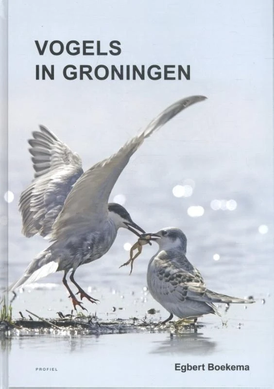 Vogels in Groningen – Egbert Boekema – boek cover