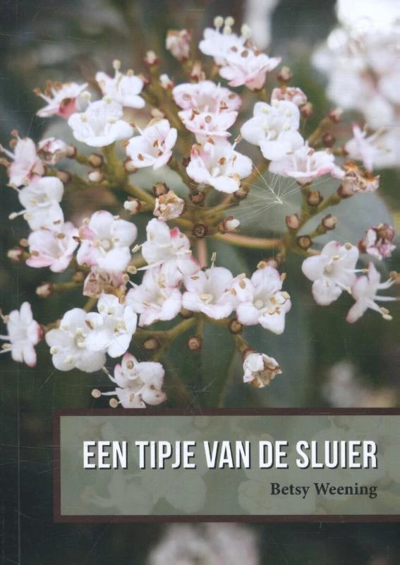 Een tipje van de sluier – Betsy Weening – boek cover