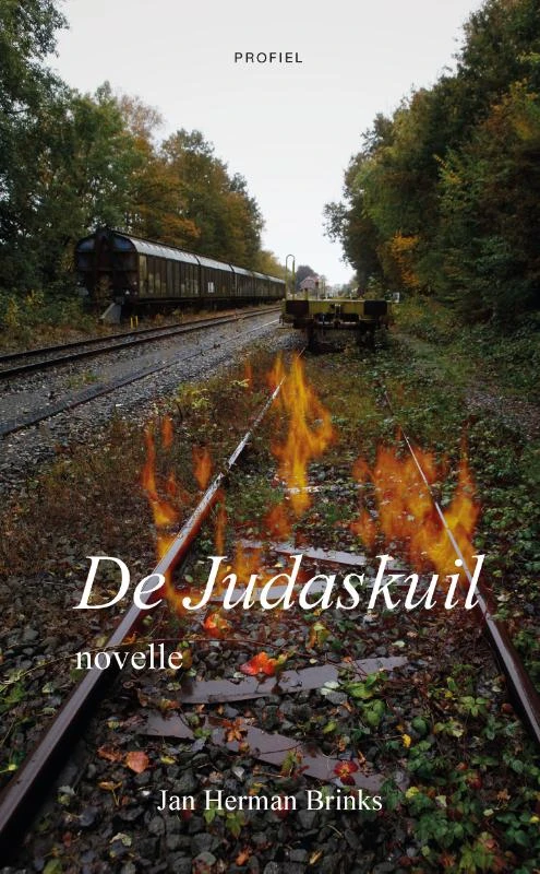 De Judaskuil – Jan Herman Brinks – boek cover