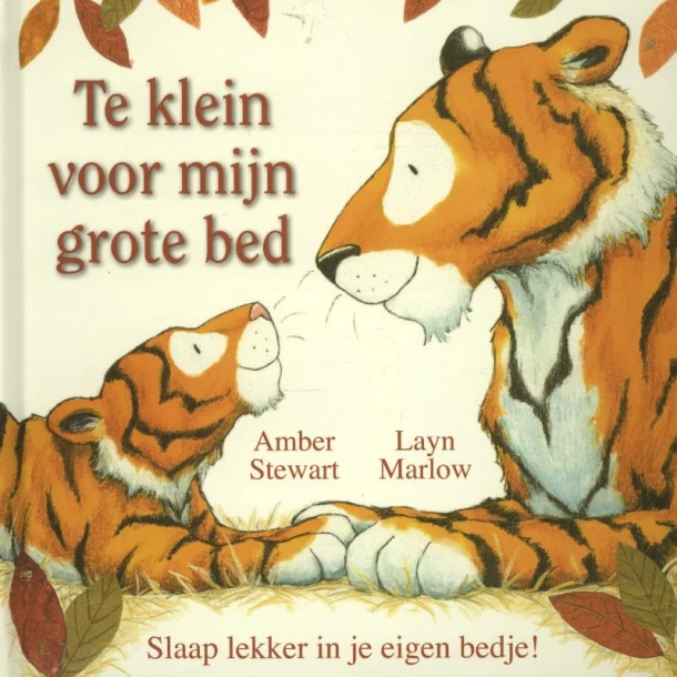 Te klein voor mijn grote bed – Amber Stewart – boek cover