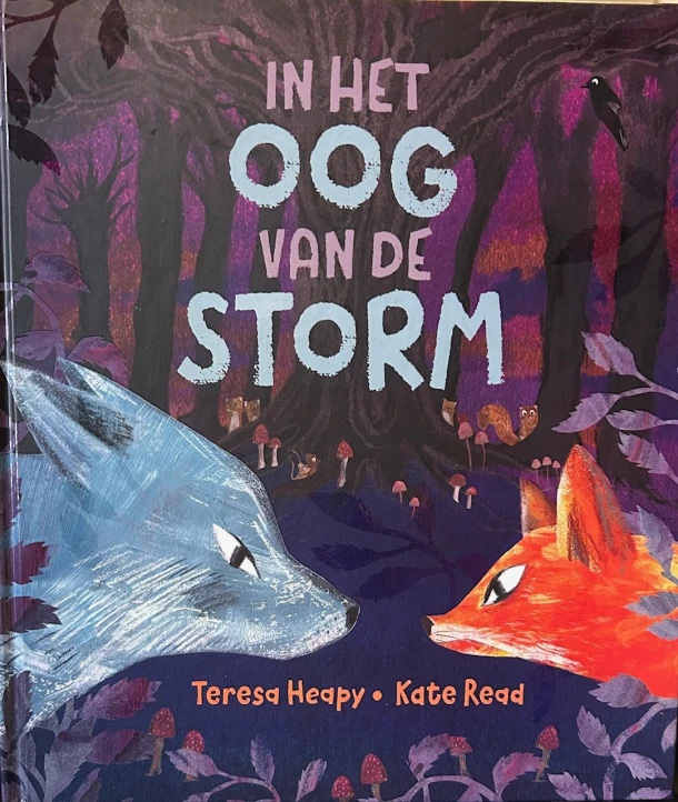 In het oog van de storm – Teresa Heapy – boek cover
