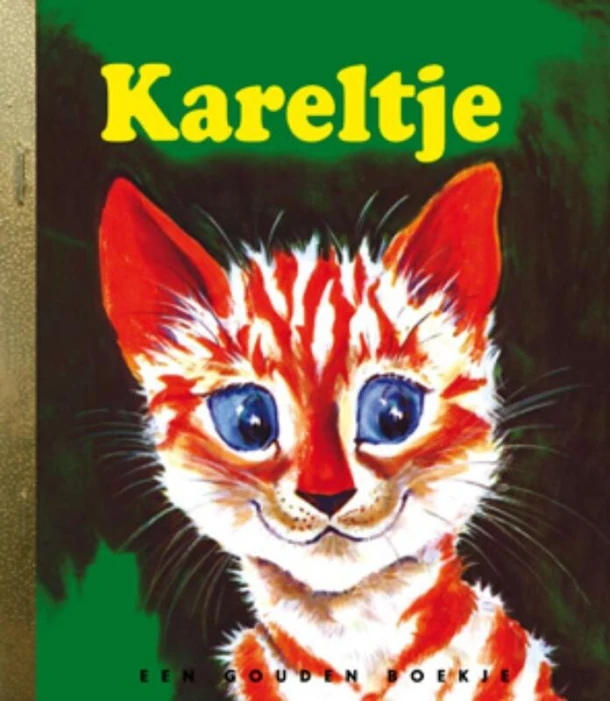 Kareltje – D. Fox Downs – boek cover