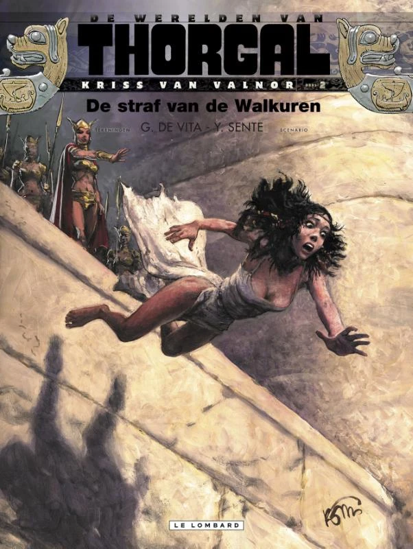 De straf van de Walkuren – boek cover
