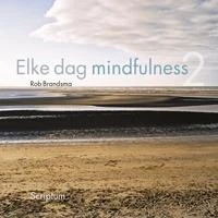 Elke dag meer mindfulness – Rob Brandsma – boek cover