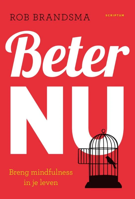 Beter nu – Rob Brandsma – boek cover