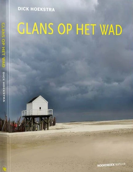 Glans op het wad ā Dick Hoekstra ā boek cover