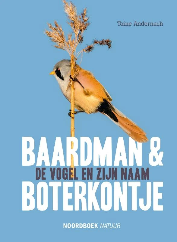 Baardman en boterkontje – Toine Andernach – boek cover