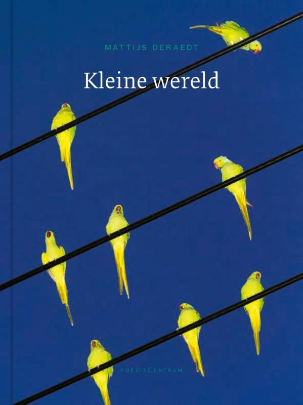 Kleine wereld – Mattijs Deraedt – boek cover