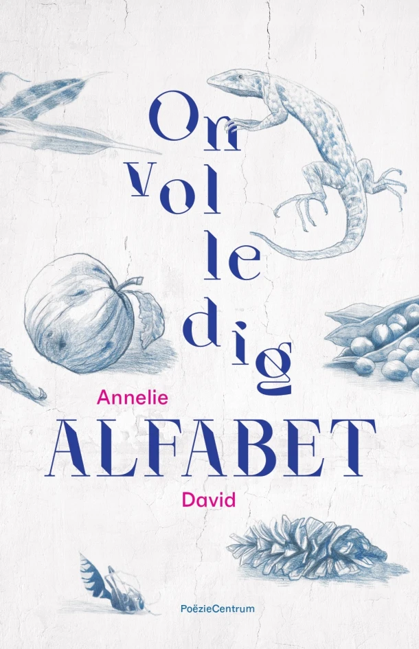 Onvolledig alfabet – Annelie David – boek cover