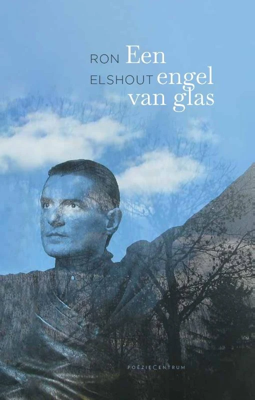 Een engel van glas – Ron Elshout – boek cover