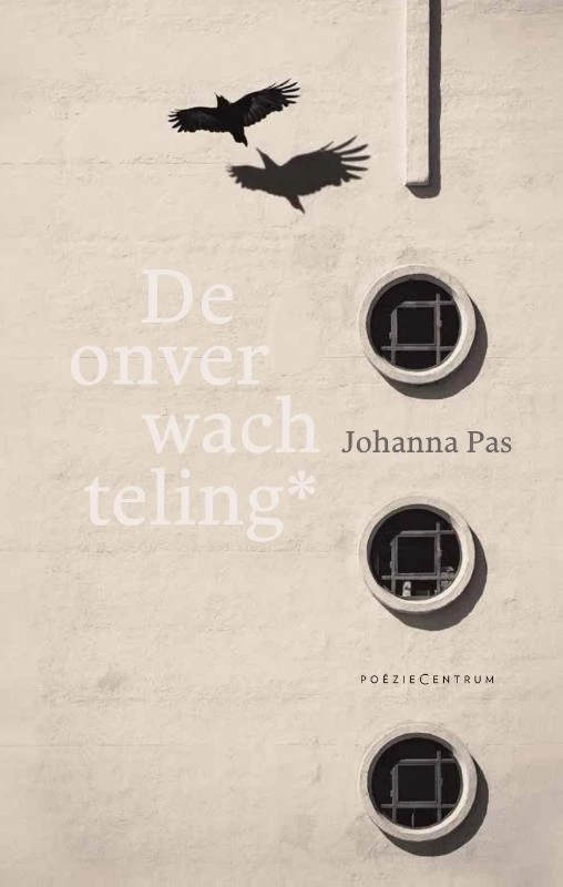 De onverwachteling* – Johanna Pas – boek cover