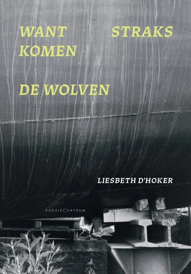 Want straks komen de wolven – Liesbeth D‘Hoker – boek cover